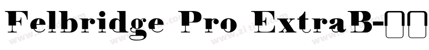 Felbridge Pro ExtraB字体转换 Felbridge Pro ExtraB字体转换